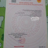 Cính Chủ Bán Gấp Nền Đất Thổ Cư 104M2