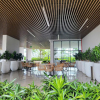 Cho Thuê Cc Opal Skyline, Nguyễn Văn Tiết, Lái Thiêu, Thuận An, 7,5 Triệu, 65 M2
