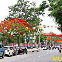 Cho Thuê Lô Góc Mặt Tiền 30M Phố Trần Phú, Ngô Quyền, Hải Phòng