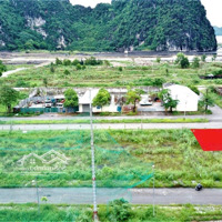Bán Ô Góc Trục Đường Đôi 30 M Tại Khu Đô Thị Quảng Hồng, Giá Siêu Hời 27 Triệu/M2, 130M2