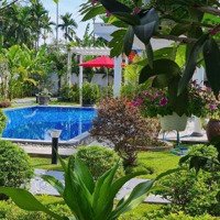 Thông Tin Mô Tả Cho Thuê Căn Hộ Bungalow Tại Phường Quảng Phú. Giá Từ 4 Triệu Đến 5.5 Triệu/Tháng