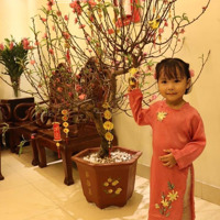 Nhà Tập Thể Khu Đ, Ngõ Ô Tô, 3 Mặt Thoáng Vĩnh Viễn
