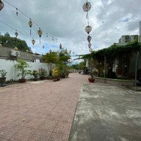 Cho Thuê Mặt Bằng 1.300 M2 Trên Đường Nguyễn Trãi, Diên Khánh. Phù Hợp Kinh Doanh