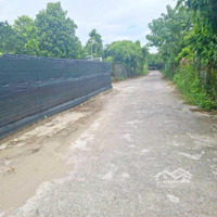 Bán Đất Khai Hoang Làm Khu Nghỉ Dưỡng Bãi Sông Hồng - Phường Tứ Liên - Tây Hồ - Hà Nội