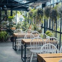 Cho Thuê Nhà Mặt Phố Trần Thái Tông. Mặt Tiền Nhận Diện 30M. Diện Tích 200M2. Thông Sàn.