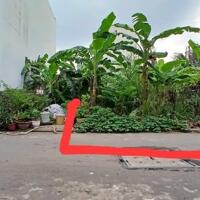 Cần bán gấp lô đất hẻm 47 Đường Trường Lưu, KHU PHÂN LÔ, đường 7m, 70m2, chỉ 3 tỷ 250.