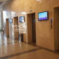 Bqlcho Thuê Văn Phòngtại Tòa Nam Cường Building Diện Tích 100M2 - 1000M2 Giá 150K/M2/Th. Liên Hệ: 0961901688