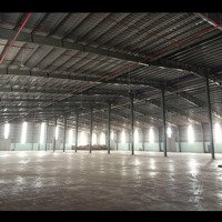 Tổ Hợp Kho Ngoại Quan - Bãi Chất Container - Kho Thường Tại Ql 51 Biên Hoà Gần Sân Bay Long Thành