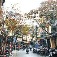 Nhà Mặt Phố Thuốc Bắc - Hàng Cá - Khu Buôn Bán Sầm Uất - 79M - 5 Tầng - 72 Tỷ