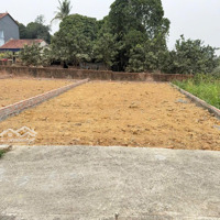 Cần Bán Đất Full Thổ Cư, Ô Tô Đỗ Cửa, Thôn Nại Châu, Chu Phan, Mê Linh, Hà Nội
