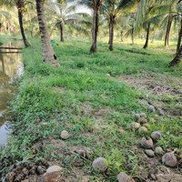 Bán Đất Chính Chủ 1803,5 M2 Tại Sơn Hòa, Châu Thành, Bến Tre Giá Bán 1,7 Triệu/M2 Còn Thương Lượng