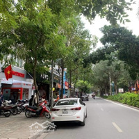 Cho Thuê Biệt Thự Xa La, Hà Đông 160Mx4T, Nhà Đẹp, Ở Ngay Giá 34 Triệu