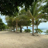 Bđs Nghỉ Dưỡng Mặt Biển Ninh Vân, Tx Ninh Hoà, Khánh Hoà Cần Bán