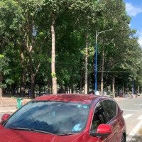 Cho Thuê Đất Mặt Tiền Góc Ngã Ba Trong Thành Phố Mới Bình Dương