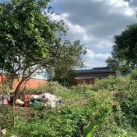 Cho Thuê Đất Mặt Tiền Góc Ngã Ba Trong Thành Phố Mới Bình Dương