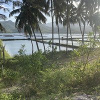 Bán Nhanh Lô Đất View Mặt Hồ Tại Xuân Hải, Sông Cầu, Phú Yên