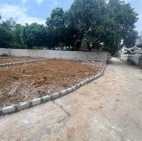 Cần Bán Nhanh 101.3M2 Đất Đường Thông Ở Thôn 3 Tân Xã Giá Rẻ. Liên Hệ: 0866990696
