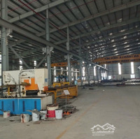 Cho Thuê Xưởng Tân Uyên Tdt 10.000M2 Dtx 5.600M2 Sx Đa Ngành