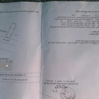 Bán Nhà Cấp 4 (5X20M), Mặt Tiền Thanh Niên P. Tân Bình Gần Chợ Tân Bình