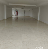Cho Thuê Nhà Mặt Phố Xuân Thuỷ - Cầu Giấy, Diện Tích 65M2 X 2 Tầng, Mặt Tiền 5M Làm Mọi Mô Hình