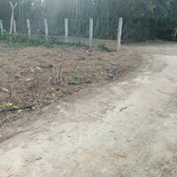 ⭐BÁN LÔ ĐẤT LỘC THƯỢNG PHƯỚC SƠN TUY PHƯỚC  DT 70m2 THỔ CƯ  ĐƯỜNG BÊ TÔNG  GIÁ BÁN 2XX Triệu  LH 0799330299