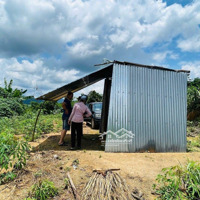 Đắk Hà- Kontum Diện Tích Hơn 1.3Ha Thực Tế 1.6Ha 220M Giáp Hồ 150M Giáp Đường Giá Chỉ 899 Triệu