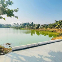 Lô Đất Wie Hồ Tại Khu Công Nghiệp Nhuận Trạch Đẹp Lòng Lanh Ac Đầu Tư