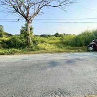 Bán 19 X 52 Mặt Tiền Nhựa 30/4 Phước Tân Hưng ( 992 M) Có 300 Mv Thổ Cư Thích Hợp Vila Nhà Vườn Vv