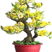 Bán Đất Mặt Tiền Hẻm 10 M Thống Nhất , P.16, Giá Bán 6.6 Tỷcó Thương Lượng- 4.9 X 17