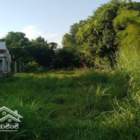 Cho Thuê Đất Mặt Tiền Đường Nhựa 12M Thái Mỹ Củ Chi Làm Kho Bãi Nhà Xưởng Vườn Cây 0976989758