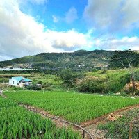 Bán Đất View Đẹp Gần Kdl Núi Voi Hiệp An, Đi Trung Tâm Đà Lạt Hơn 10Km