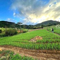 Bán Đất View Đẹp Gần Kdl Núi Voi Hiệp An, Đi Trung Tâm Đà Lạt Hơn 10Km