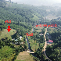 68.000 M2 Gồm Thổ Cư, Đất Vườn, Đất Rừng Sản Xuất Bằng Phẳng, Bám Suối To, Làm Trang Trại Thì Quá