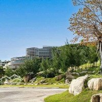Cần Bán Lô Đất Đẹp Ven Biển Thị Trấn Cát Tiến. Diện Tích 120M2. Giá Chỉ 1,51 Tỉ. Giá Bán Cực Tốt.