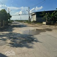 Hàng Cực Hiếm! Bán Gấp Lô Đất Đấu Giá Chấn Đông- Hoàn Long- Yên Mỹ.diện Tích100M2.Mặt Tiền5M