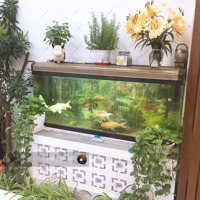 Nhà 2 Mặt Phố Kinh Doanh Siêu Đỉnh Xa La. 90M, 6 Tầng,Thang Máy,Mặt Tiền4M . Giá Bán 19 Tỷ