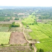 Bán Đất Tại Thị Trấn Ea Kar, Đắk Lắk, Giá Siêu Hời 180 Triệu, Diện Tích 536M2