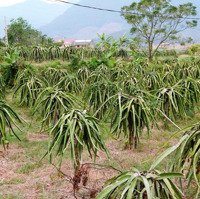 Bán Đất 874 M2 Tại Đường 712, Tân Thuận, Hàm Thuận Nam, Bình Thuận, 15 Triệu/M2