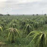 Bán Đất 874 M2 Tại Đường 712, Tân Thuận, Hàm Thuận Nam, Bình Thuận, 15 Triệu/M2