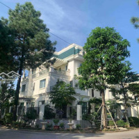 Cần Bán Gấp Căn Biệt Thự 200M2 Chưa Xây Dự Án The Phoenix Garden, Đan Phượng
