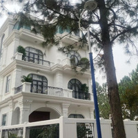 Cần Thoát Hàng Căn 200M2 Biệt Thự The Phoenix Garden