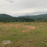 Bán Đất Tại Ngọc Thanh, Phúc Yên, Vĩnh Phúc, Giá Cực Chất 45 Tỷ, 24000 M2