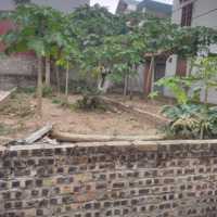 160 Bán Đất Đường Trường Sa Đông Hội, 6,6 Tỷ, 62M2, Giá Cực Chất