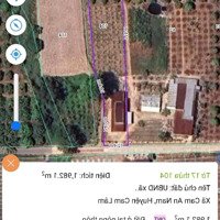 Cam An Nam - 1982 M2 - 120 M Mặt Tiền - Có Nhà Cấp 4 - 120 M Mặt Tiền - Giá Chỉ 1 Tỷ 300
