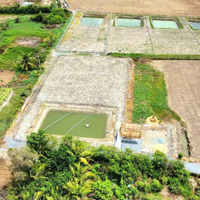 Đất Làm Nhà Vườn Đường Xe Hơi. Diện Tích 1000M2, Xã Mỹ Lộc Cần Giuộc, Gần Trục Ql 50B, Giá Tốt, Shr