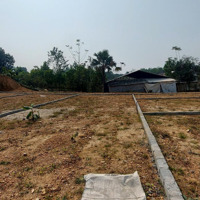 Hàng Hiếm Tại Phượng Mao, 350 Triệu, 120M2