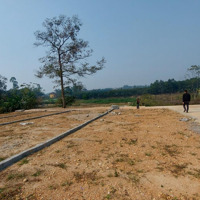 Hàng Hiếm Tại Phượng Mao, 350 Triệu, 120M2