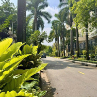 85 Tỷ Giảm Còn 65 Tỷ, Biệt Thự Sân Vườn Gần Đường Hoàng Văn Thụ, Nguyễn Văn Trỗi, Diện Tích: 20X30M