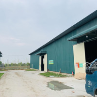 Chính Chủ Cho Thuê Kho Tại Phú Thị - Gia Lâm. Diện Tích 440M2