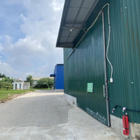 Chính Chủ Cho Thuê Kho Tại Phú Thị - Gia Lâm. Diện Tích 440M2